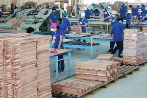 Hơn 93% doanh 
nghiệp gỗ tại Việt 
Nam có quy mô nhỏ và
 vừa, hầu hết đều thiếu vốn, thiếu thông tin thị trường