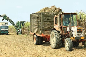 Ngày 3/11, SCIC sẽ bán đấu giá hơn 28 ngàn cổ phiếu Mía đường Thanh Hóa, tương đương 28,43% vốn điều lệ, với giá khởi điểm 569.000 đồng/CP (mệnh giá 100.000 đồng/CP)