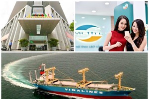 Viettel vượt PVN dẫn đầu về lãi, Vinalines tiếp tục đội sổ với con số lỗ lũy kế hơn 3.000 tỷ đồng