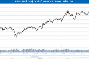 Nắm giữ những cổ phiếu đặc trưng cho chiến lược đầu tư theo xu hướng