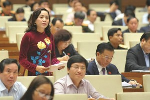 Đại biểu Quốc hội đề xuất tổng kết, đánh giá ngay chính sách tích tụ ruộng đất