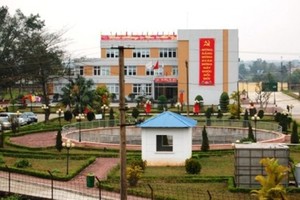 Ảnh Internet