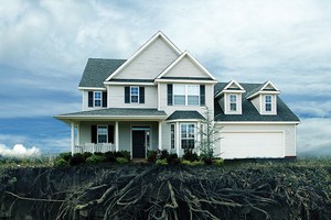 Đồ Họa: Ngọc Tuấn

