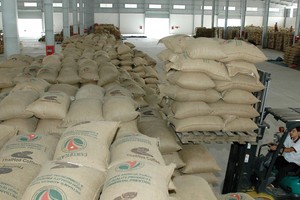 Cà phê và hồ tiêu được dự báo sẽ tiếp tục duy trì vị trí hàng đầu trong xuất khẩu nhóm hàng nông sản