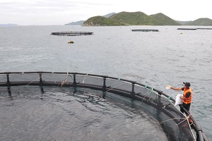 Đầu tư nông nghiệp: Còn nhiều dư địa