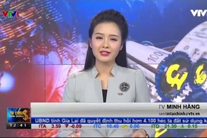 Bản tin tài chính kinh doanh trưa 19-12