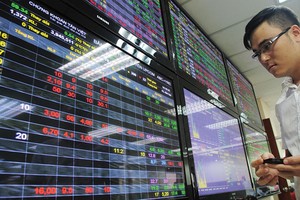 Các nhà đầu tư dài hạn có thêm sự lựa chọn tại UPCoM, khi sàn này có thêm nhiều doanh nghiệp chất lượng, với chính sách cổ tức “thoáng”