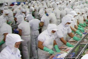 Doanh nghiệp chế biến cá tra Việt Nam phải cạnh tranh “trên từng centimet” với các đối thủ Ấn Độ, Indonesia, Bangladesh..