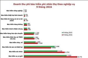 Bảo hiểm phi nhân thọ: Triển vọng nhiều sản phẩm mới
