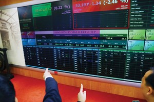 Quá nhiều cổ phiếu mới lên sàn trong một thời điểm khiến việc xác định thông tin cổ phiếu gặp khó khăn