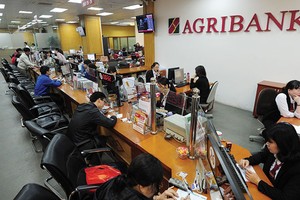 Sau “đại phẫu”, Agribank bắt đầu trở lại đường đua