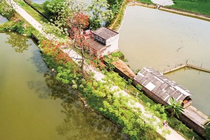 PGS-TS xã hội học Nguyễn Tuấn Anh: Thiếu vốn xã hội thì không vay mượn của ai được