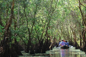 Du Xuân trên hành trình sông nước miền Tây