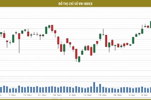 Cổ phiếu dầu khí: cơ hội với nhà đầu tư kiên nhẫn