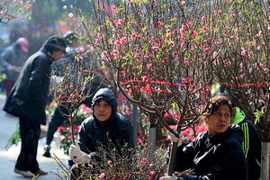 Chợ hoa Hàng Lược, Hà Nội ngày nắng đẹp. Ảnh: Lê Anh Dũng