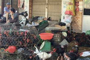 Nhiều tiểu thương mở cửa bán hàng 30 Tết song không mấy đắt khách. Ảnh: P.V