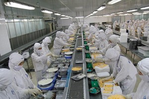 Công ty Hùng Vương (HVG) từng đứng đầu trong ngành hải sản. Trong ảnh: Xưởng sản xuất của HVG. Ảnh: Dũng Minh