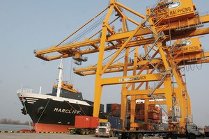 Theo các doanh nghiệp, lộ trình tăng phí ở Hải Phòng quá ngắn, 3 năm tăng 3 lần, mỗi lần tăng trên 50% 