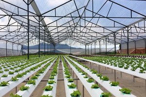 Doanh nghiệp nông nghiệp: Thời cơ mới từ chính sách