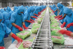 Thanh Bình hiện sở hữu hai nhà máy chế biến phi-lê cá tra đông lạnh với tổng công suất 400 tấn cá nguyên liệu/ngày