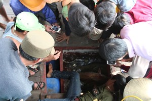 Cá đang được nuôi giữ trong tàu cá của gia đình anh Sự