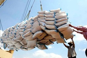 Xuất khẩu gạo, hồ tiêu giảm mạnh