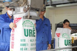 Yêu cầu Kiểm toán Nhà nước, Thanh tra Chính phủ gửi các báo cáo về 12 đại dự án của ngành công thương