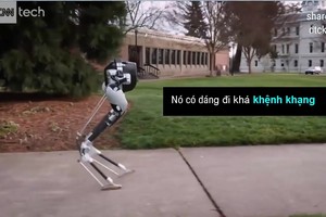 Cassie - robot 2 chân có thể tự cân bằng
