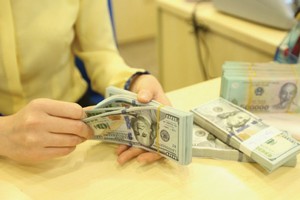 Đo áp lực tăng lãi suất của Fed lên tiền đồng và giá vàng