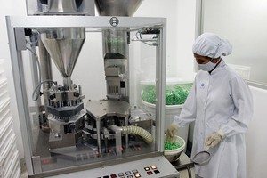 Cổ phiếu dược không còn quá rẻ