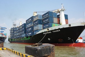 Các doanh nghiệp vận tải biển thường vay USD để đầu tư đội tàu nên chịu tác động khá lớn từ biến động tỷ giá