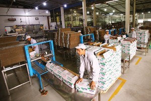 Chủ tịch GTN: GTN có hơn 1.100 tỷ đồng tiền gửi ngân hàng