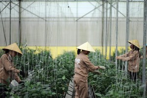 Công nghệ cao: Điểm tựa cho nông nghiệp Quảng Nam 