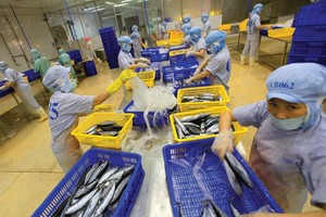 FDI với thị trường và đối tác (tiếp)