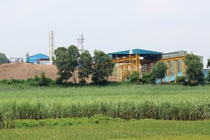 Có công ty trong lĩnh vực mía đường lên kế hoạch lợi nhuận năm 2017 giảm 89% so với năm 2016