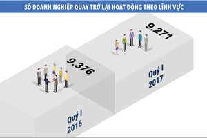 Tăng trưởng kinh tế chững lại trong quý I/2017