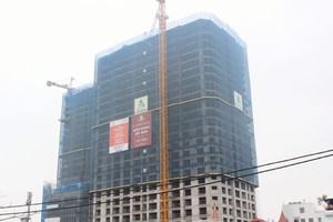 Tân Hoàng Minh vừa tổ chức cất nóc Dự án D’. Roi Soleil, dự án đã bán được 60% số căn hộ, theo chủ đầu tư