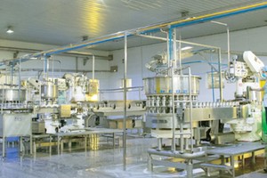 Bến Tre hiện có nhiều doanh nghiệp chế biến dừa, sản phẩm thế mạnh của địa phương. Trong ảnh: Dây chuyền sản xuất của Công ty Chế biến dừa Lương Quới