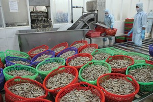 Theo Tổng cục Thống kê, có tới hơn 90% doanh nghiệp dự kiến ổn định và tăng đơn hàng xuất khẩu trong quý II/2017