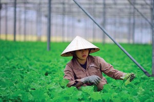 Một loạt tập đoàn từ Israel, Hà Lan, Thụy Sĩ… đến Việt Nam chào bán công nghệ nông nghiệp