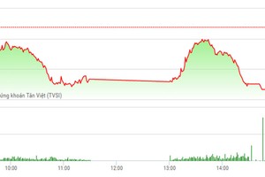 Phiên chiều 20/4: Vẫn có những điểm sáng bất ngờ