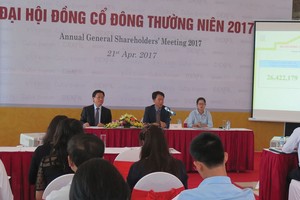 EVE đặt kế hoạch kinh doanh cao, cổ đông chất vấn tính khả thi