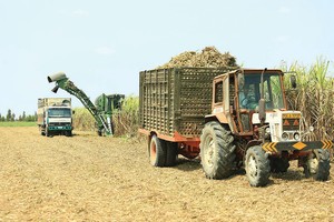 Đặt chỉ tiêu thấp, QNS vượt kế hoạch lợi nhuận năm sau quý I