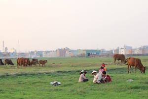 TP.HCM xuất hiện nhiều dự án “trâu nằm”