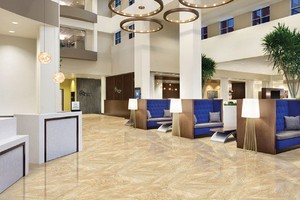 Viglacera (VGC) sẽ chia cổ tức 9,5% cho cổ phiếu mới bán đấu giá