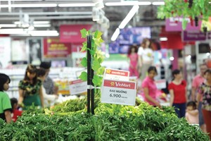 Mô hình kết nối mà Vingroup tạo dựng với hơn 250 doanh nghiệp đang tạo chất xúc tác cho các doanh nghiệp nhỏ lớn mạnh. Ảnh: Đức Thanh