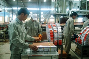 Đóng gói sản phẩm gạch men cao cấp tại Công ty CP Tập đoàn Hoàng Hà (Đông Triều, Quảng Ninh). -Ảnh: baoquangninh