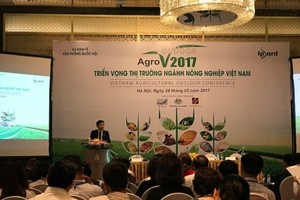 TS. Nguyễn Đỗ Anh Tuấn, Viện trưởng Ipsard