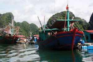 Bảo hiểm hàng hải nói chung và bảo hiểm tàu cá nói riêng từng là nghiệp vụ thế mạnh của một số công ty bảo hiểm phi nhân thọ