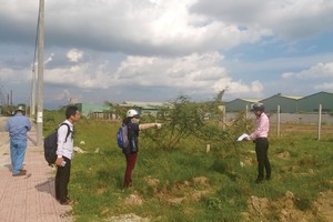 Có nên mua đất nền sau cơn sốt giá?